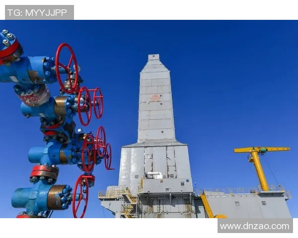 亚马尔地区的能源战略与全球气候变化的互动分析与展望