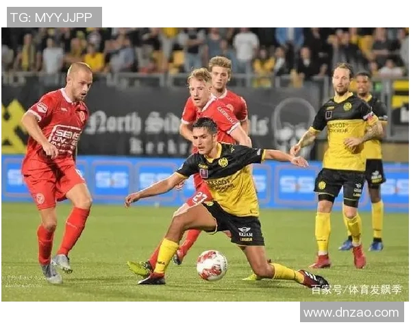 海尔蒙特与奥斯比赛前瞻分析及胜负预测详解