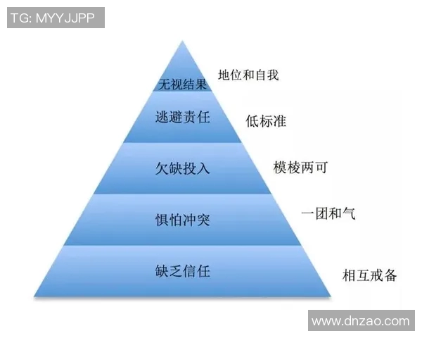 西安排球队的团队协作与战术配合深度分析与探讨